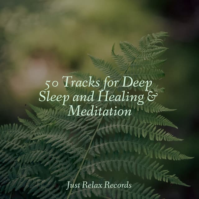 50 Tracks for Deep Sleep and Healing & Meditation - Musica para Bebes