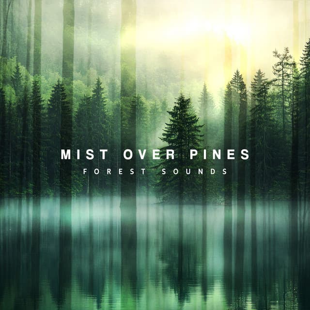 Mist Over Pines - Forest Sounds
