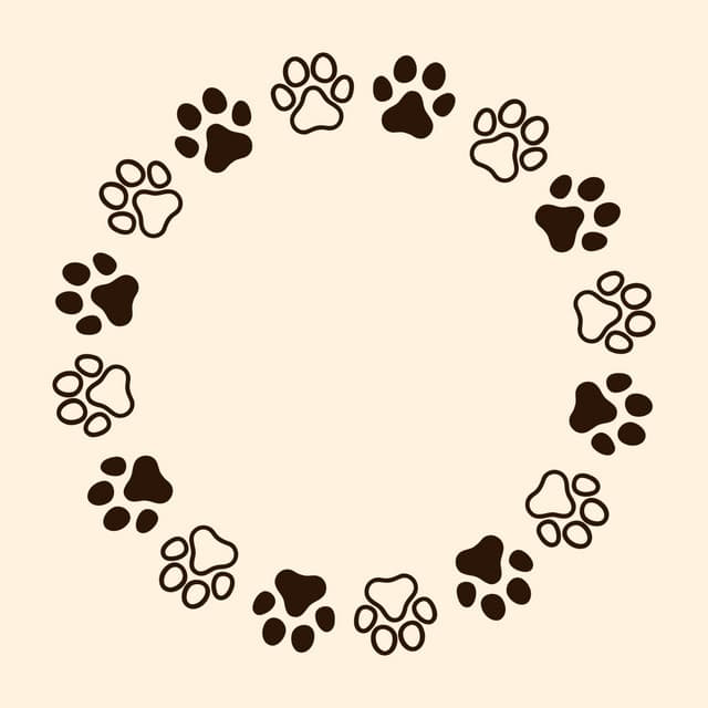 Feline Serenade: Piano Moments - Piano Cat