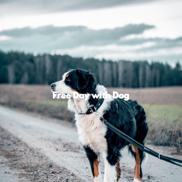 Free Day with Dog - Dog Calming Music