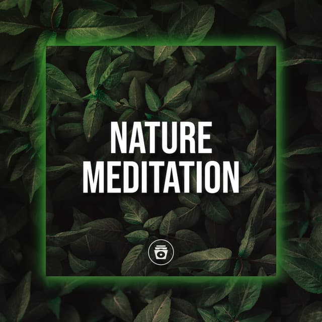 Nature Meditation - Rainforest Sounds