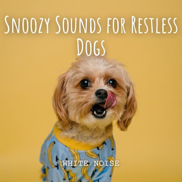 White Noise: Snoozy Sounds for Restless Dogs - White Noise Atmospheres