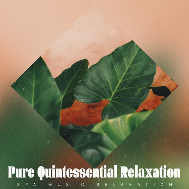 Pure Quintessential Relaxation - Spa Music Relaxation