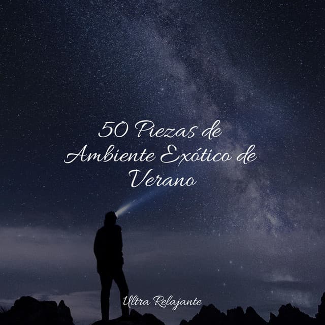 50 Piezas de Ambiente Exótico de Verano - Música ambiental relajante