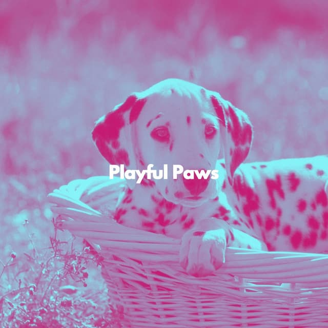 Playful Paws - Dog Music Therapy