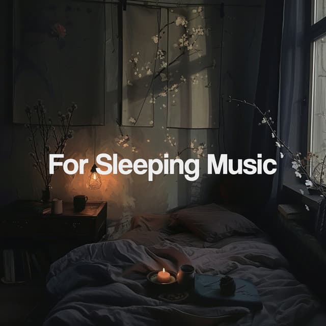 For Sleeping Music - Sleep Music