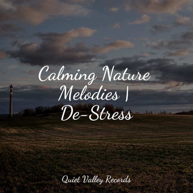 Calming Nature Melodies | De-Stress - Tailormade Ocean Waves