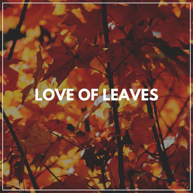 Love of Leaves - Bird Sounds
