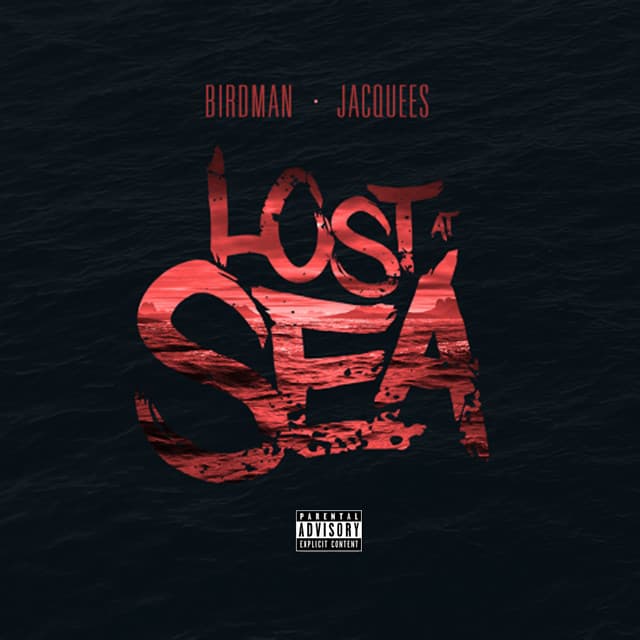 Lost At Sea - Birdman