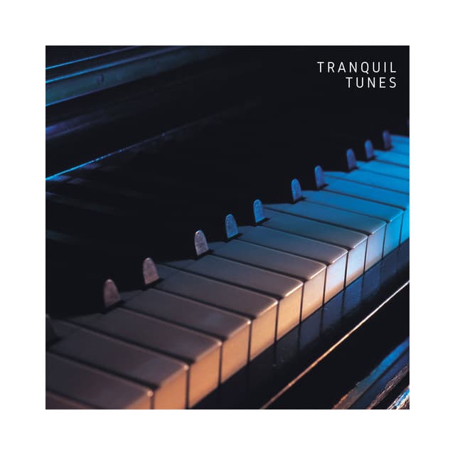 Tranquil Tunes: Chill Piano Sounds - Piano Meditation Music