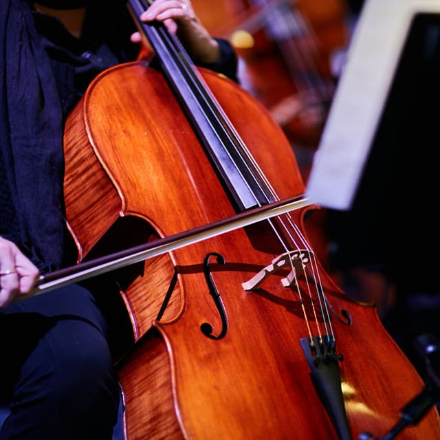 Orchestra Sunset: Symphony of Tranquility - Charles Anderson