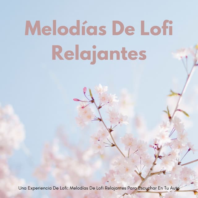 Una Experiencia De Lofi: Melodías De Lofi Relajantes Para Escuchar En Tu Auto - Nación Lofi Hip Hop