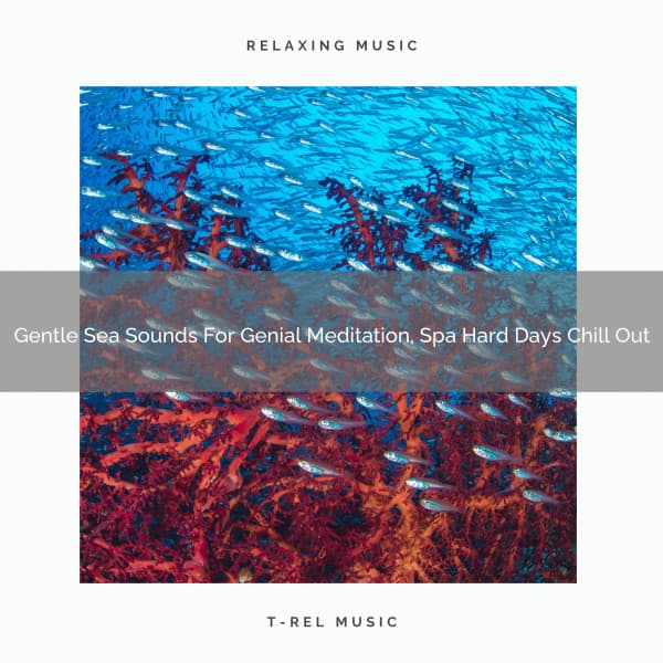 Gentle Sea Sounds For Genial Meditation, Spa Hard Days Chill Out - Instant Relax