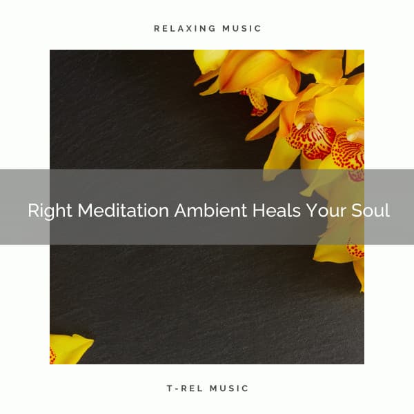 Right Meditation Ambient Heals Your Soul - Spiritual Relax