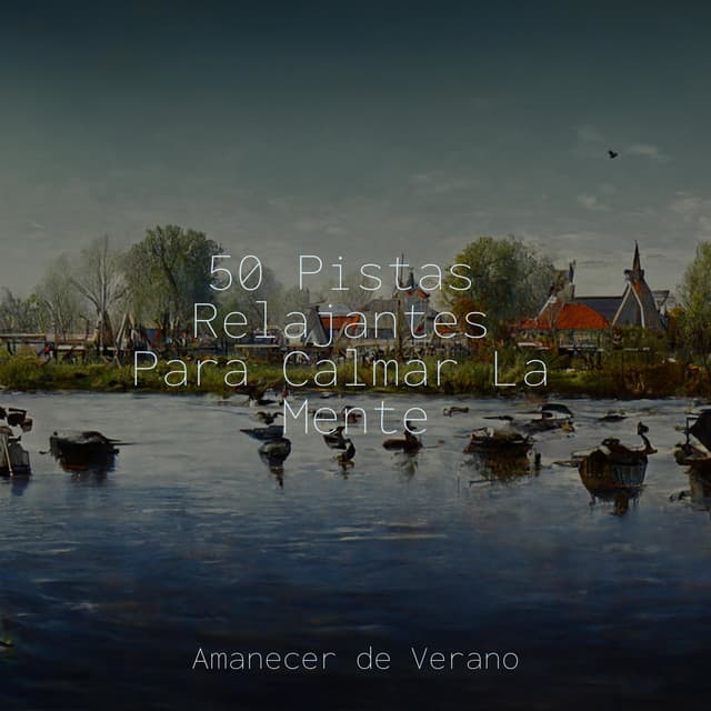 50 Pistas Relajantes Para Calmar La Mente - Sonido de lluvia