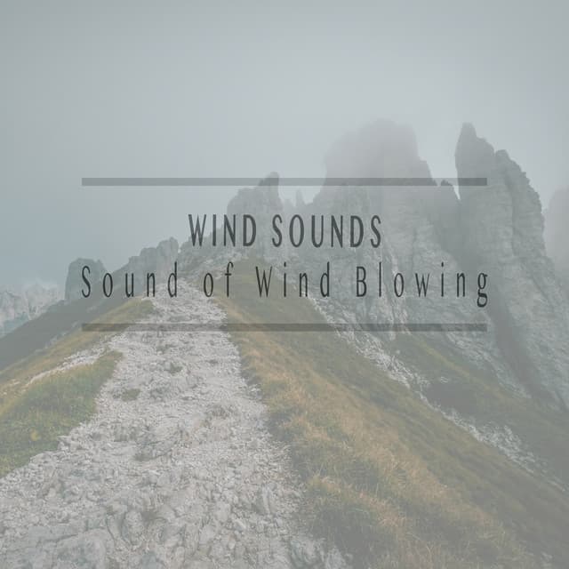 Sound of Wind Blowing - Wind Sounds