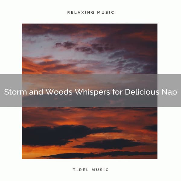 Storm and Woods Whispers for Delicious Nap - Rainfall For Sleep