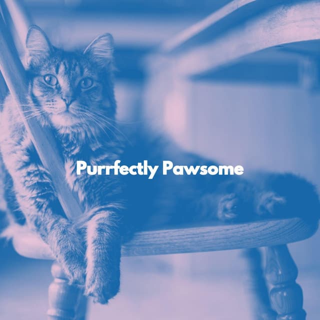 Purrfectly Pawsome - Cat Music