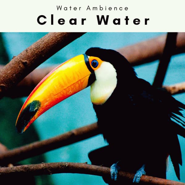 1 Clear Water - Water Ambience