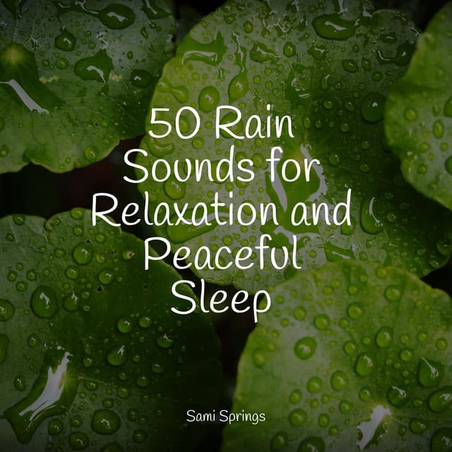 50 Rain Sounds for Relaxation and Peaceful Sleep - Ambient Arena