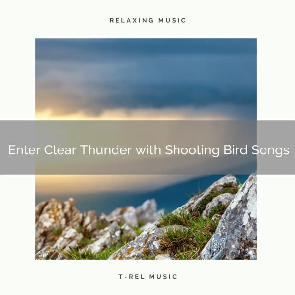 1 Enter Clear Thunder with Shooting Bird Songs - Deep Rain Sampling