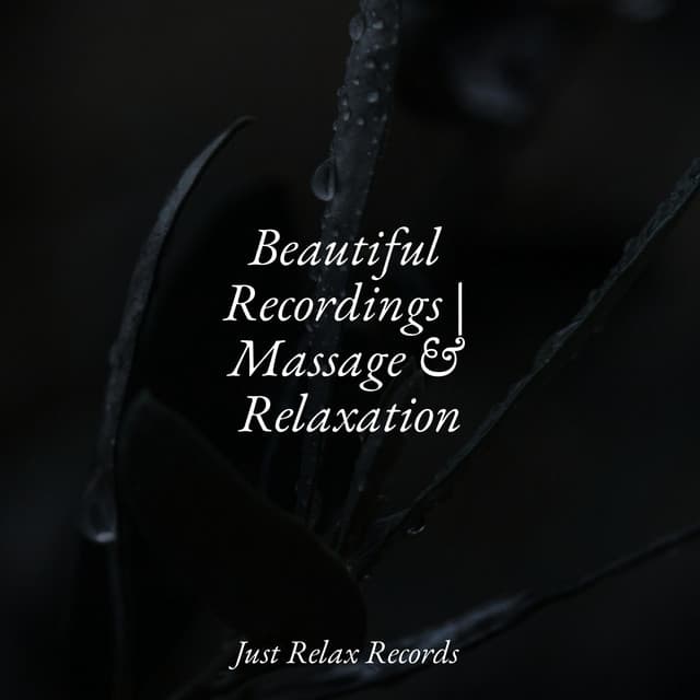 Beautiful Recordings | Massage & Relaxation - Nature Sounds Nature Music