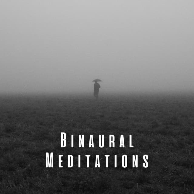 Binaural Meditations: Theta Waves and Rain Melodies - The Rain Sounds Nature Experts