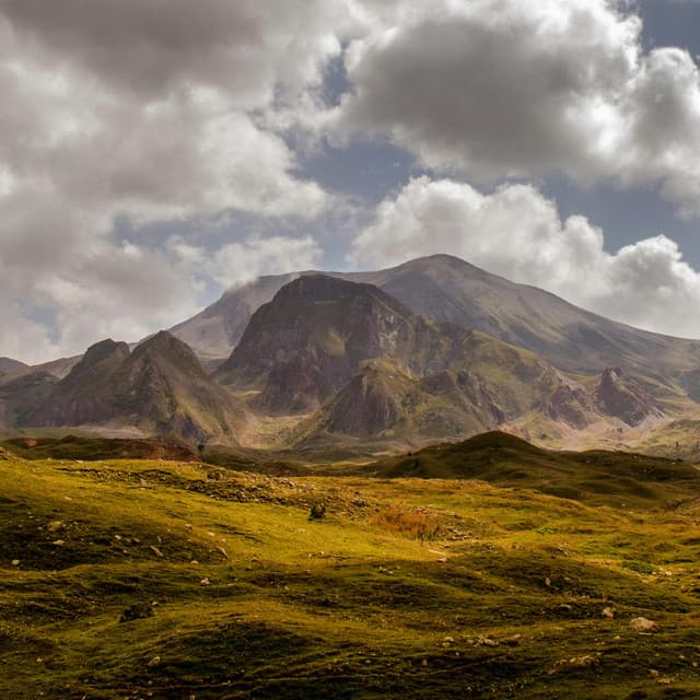 100 Lifeforms: Boundless Expanse - 16 Bit Serenity