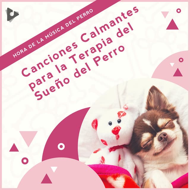 Canciones Calmantes para la Terapia del Sueño del Perro - Hora de la Música del Perro