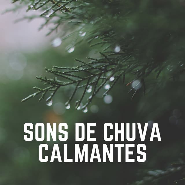 Sons de Chuva Calmantes - Chuva Pra Dormir