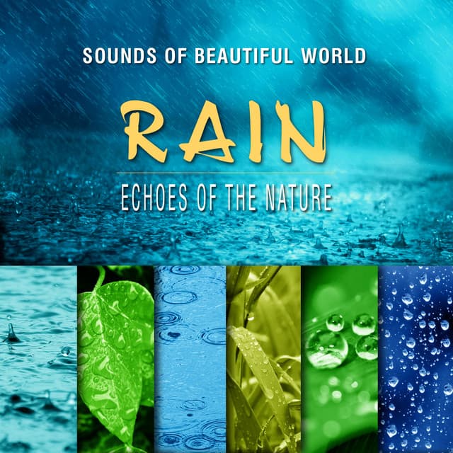 Echoes of the Nature: Rain - Sounds of Beautiful World