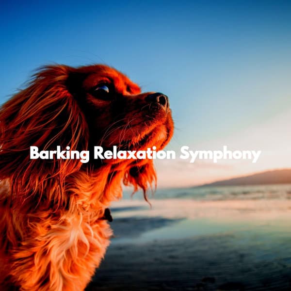 Barking Relaxation Symphony - Musica para Estudiar