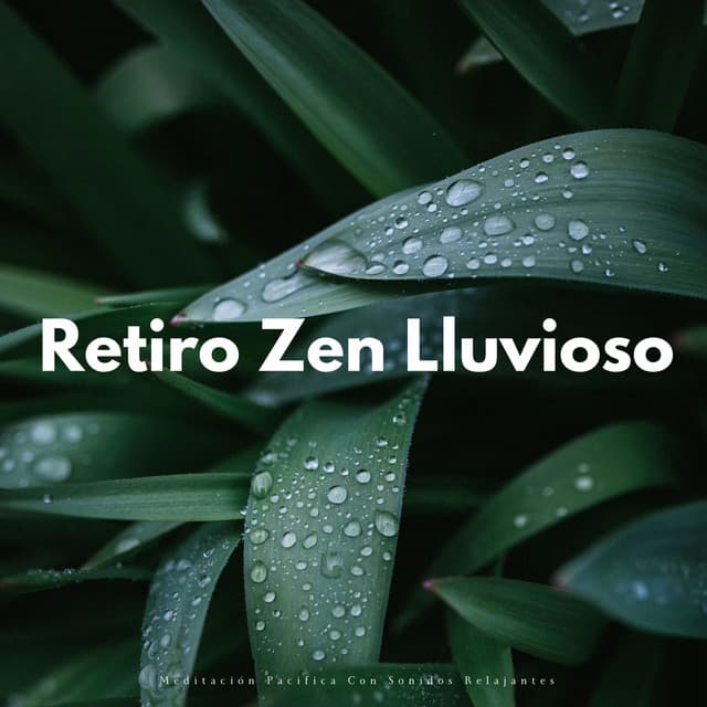 Retiro Zen Lluvioso: Meditación Pacifica Con Sonidos Relajantes - Sonidos de lluvia para meditación