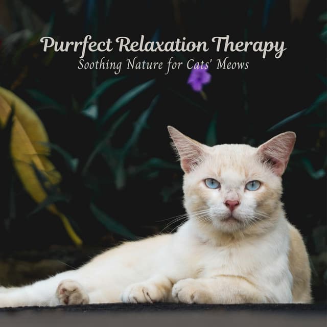 Purrfect Relaxation Therapy: Soothing Nature for Cats' Meows - Soothing Nature Sound