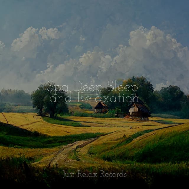 Spa Deep Sleep and Relaxation - Massage Therapy Music