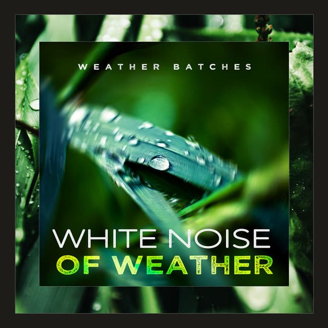 White Noise of Weather - Weather Batches