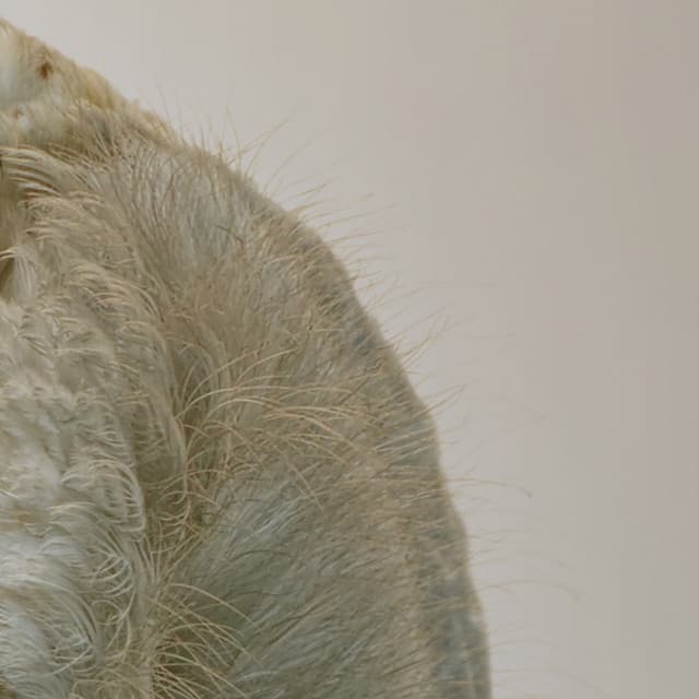 365 Complete Works 14 - Aidan O'Rourke