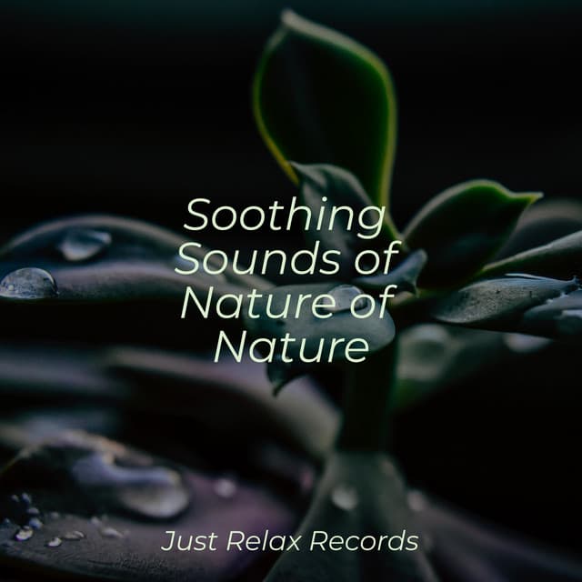 Soothing Sounds of Nature of Nature - Reiki Tribe