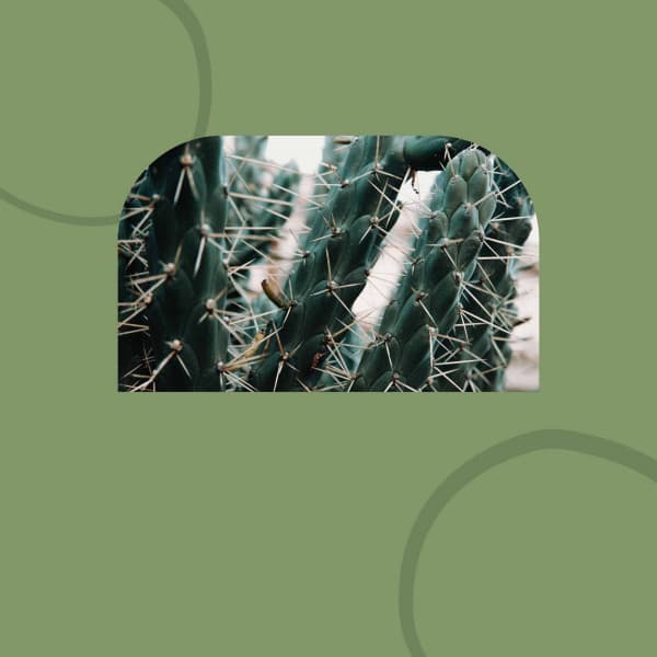 Mindfulness - Subtle - Music For Deep Sleep