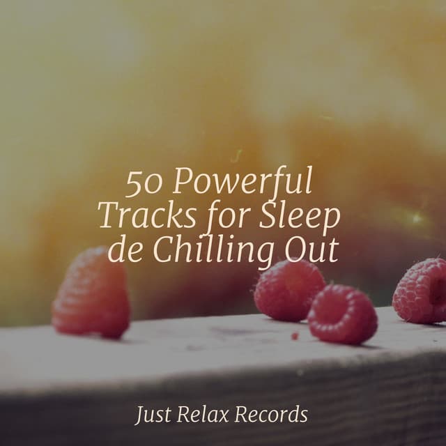 50 Powerful Tracks for Sleep de Chilling Out - Nature Sounds Nature Music