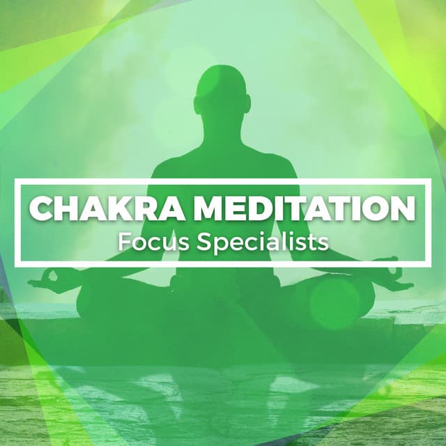 Chakra Meditation Focus Specialists - Chakra Meditation Specialists