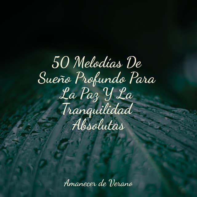 50 Melodías De Sueño Profundo Para La Paz Y La Tranquilidad Absolutas - Música Instrumental Maestro