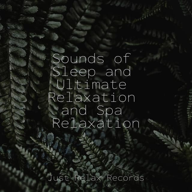 Sounds of Sleep and Ultimate Relaxation and Spa Relaxation - ASMR HD