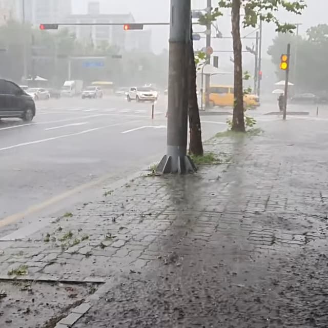 Heavy Rain While Walking Down the Street - ame