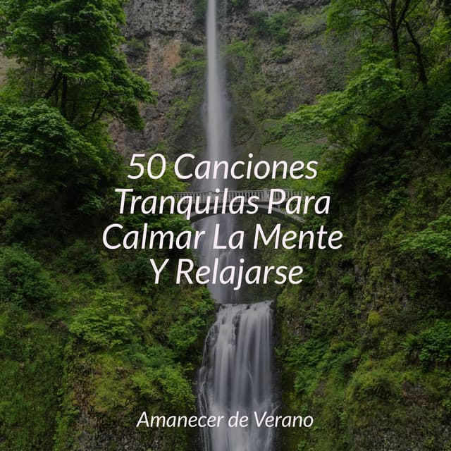 50 Canciones Tranquilas Para Calmar La Mente Y Relajarse - Yoga Music