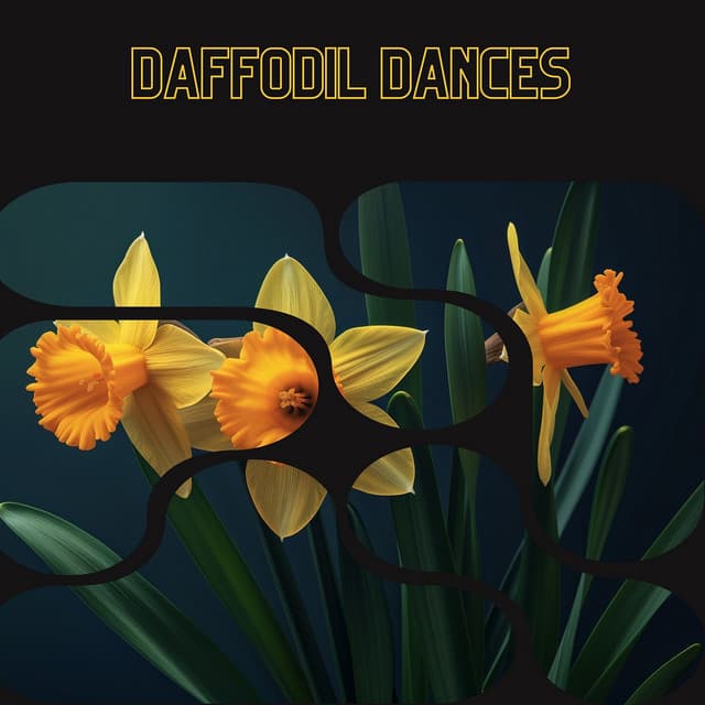 Daffodil Dances - Floral Health - HerBaLance