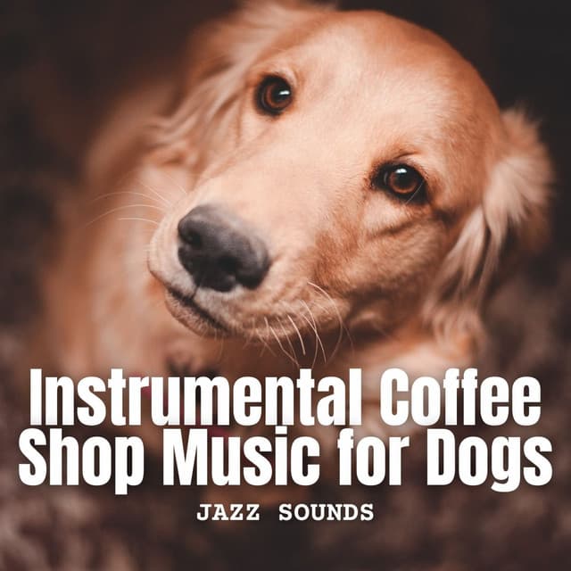 Jazz Sounds: Instrumental Coffee Shop Music for Dogs - Modern Jazz Playlist