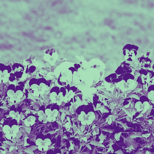 Cheerful Backdrop for Chill Out Time - Lo-Fi for Studying