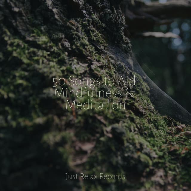 50 Songs to Aid Mindfulness & Meditation - Bedtime Lullabies