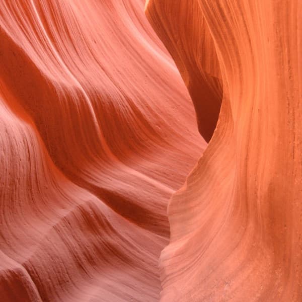 Paradise Like Bgm for July Fun - Coffee Shop Music Deluxe